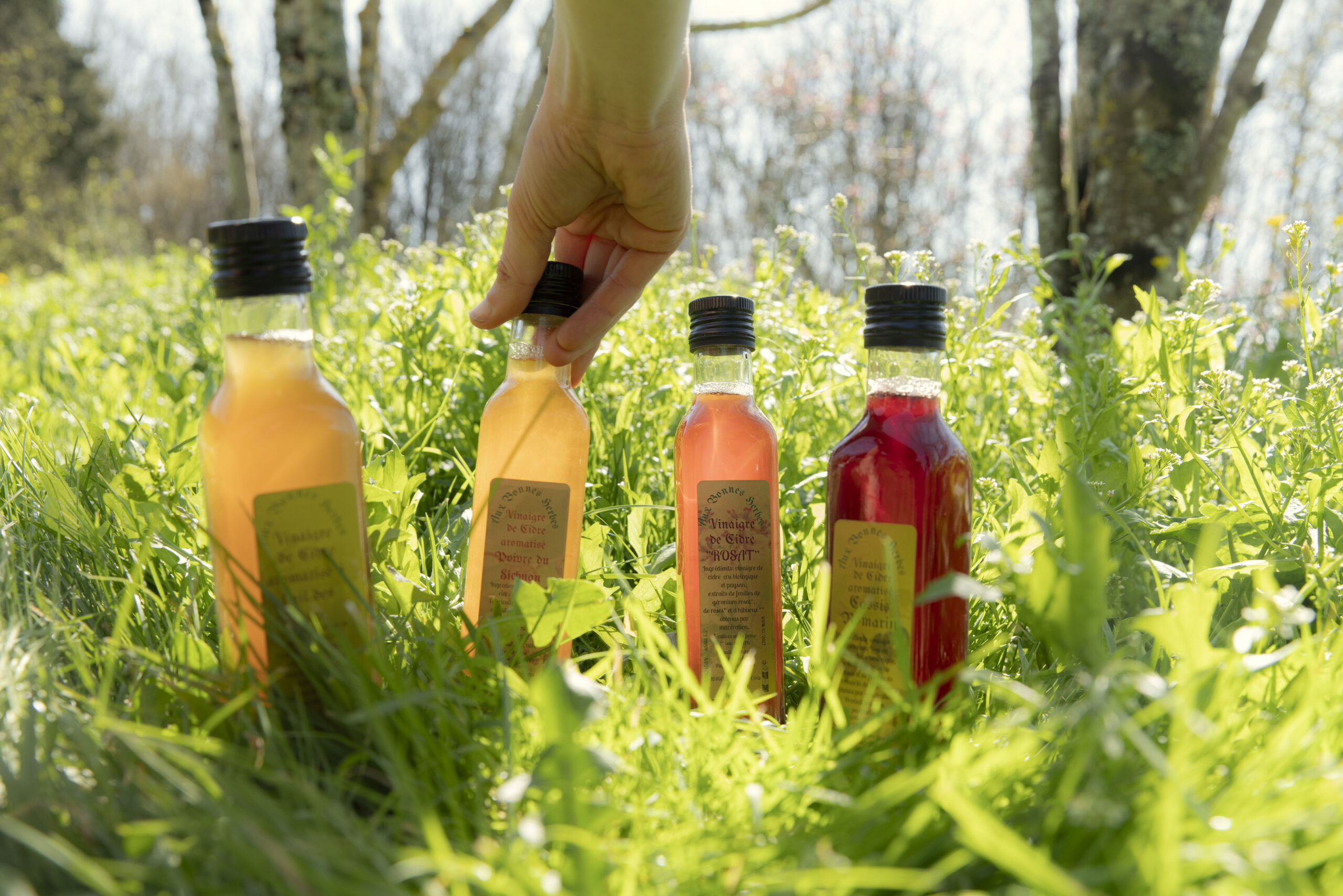 Vinaigres CAS3511 Scaled