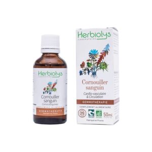 cornouiller sanguin bourgeon bio gemmotherapie