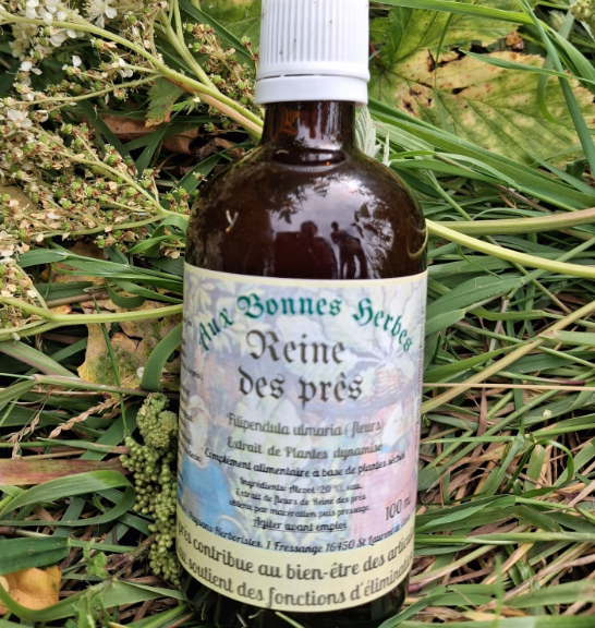 reine des près